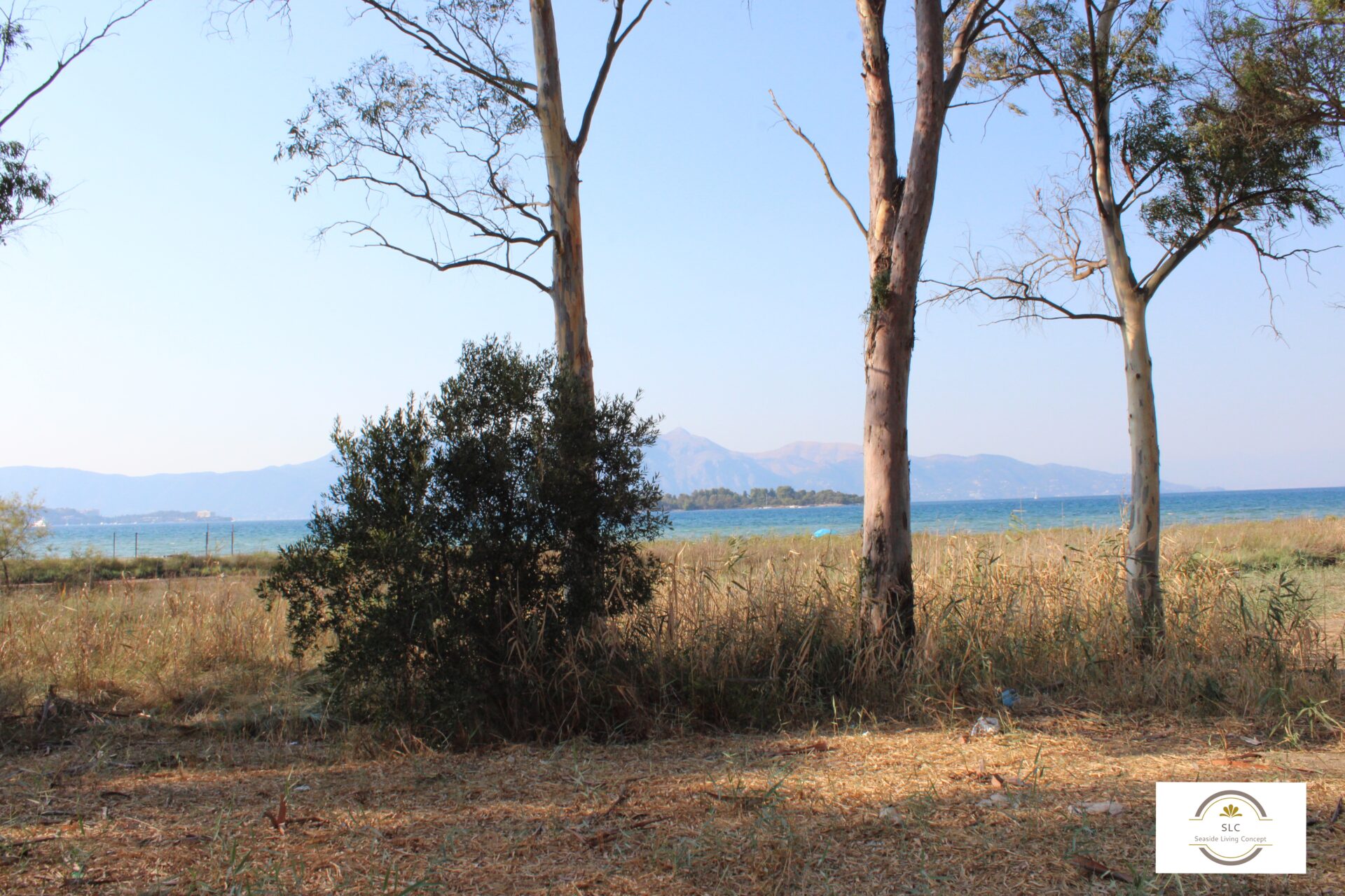 ALY 2401_seasidelivingconcept_40