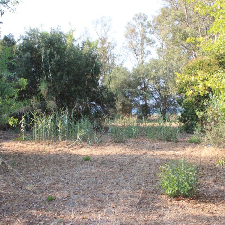 ALY 2401_seasidelivingconcept_45