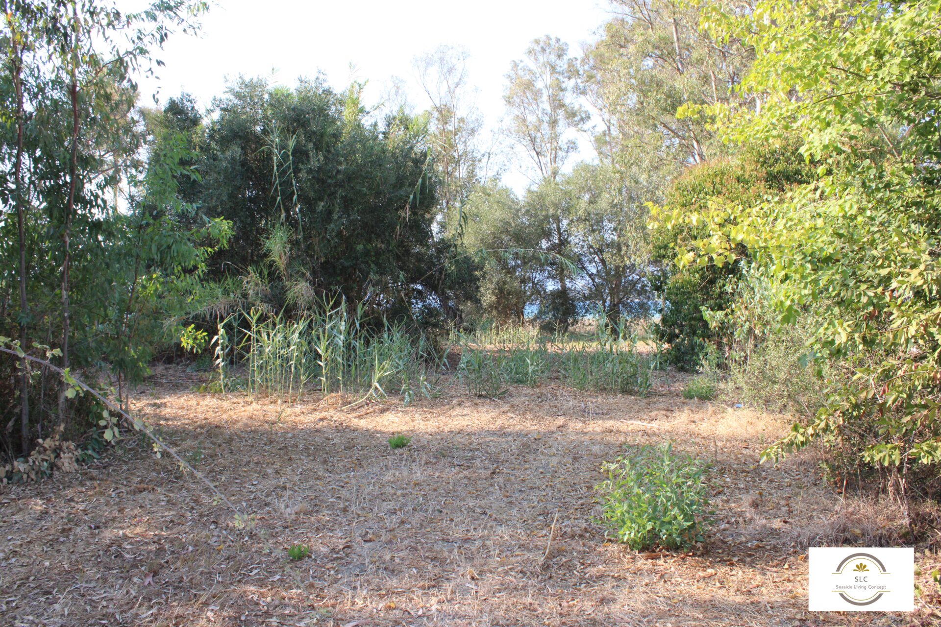 ALY 2401_seasidelivingconcept_45