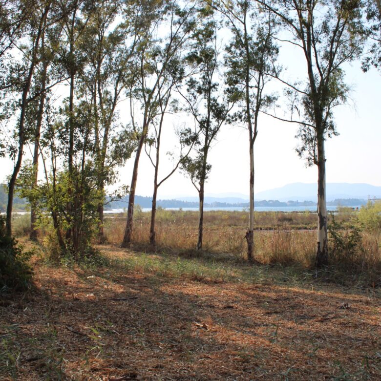 ALY 2401_seasidelivingconcept_47