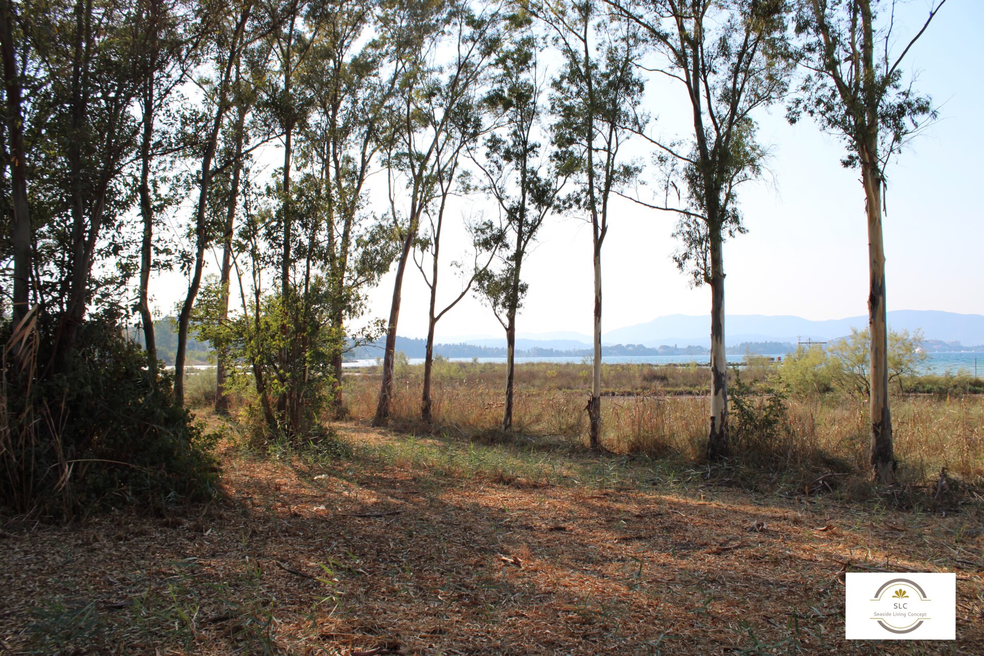 ALY 2401_seasidelivingconcept_47