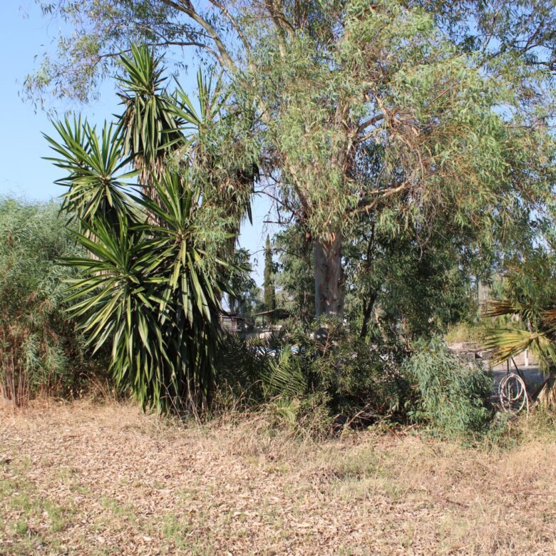 ALY 2401_seasidelivingconcept_48