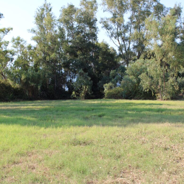 ALY 2401_seasidelivingconcept_5