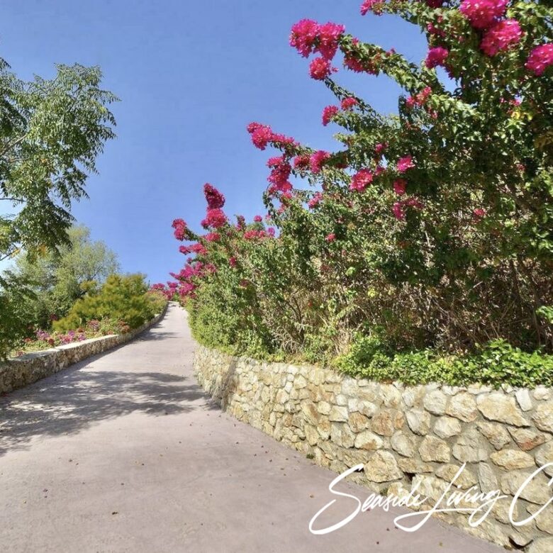 B 2401_seasidelivingconcept_17