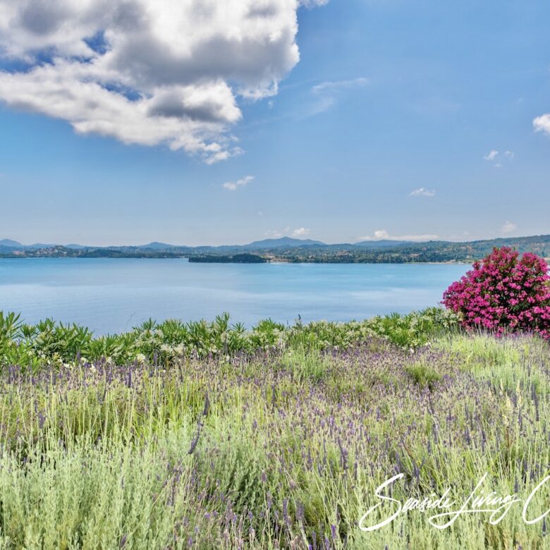 B 2401_seasidelivingconcept_53