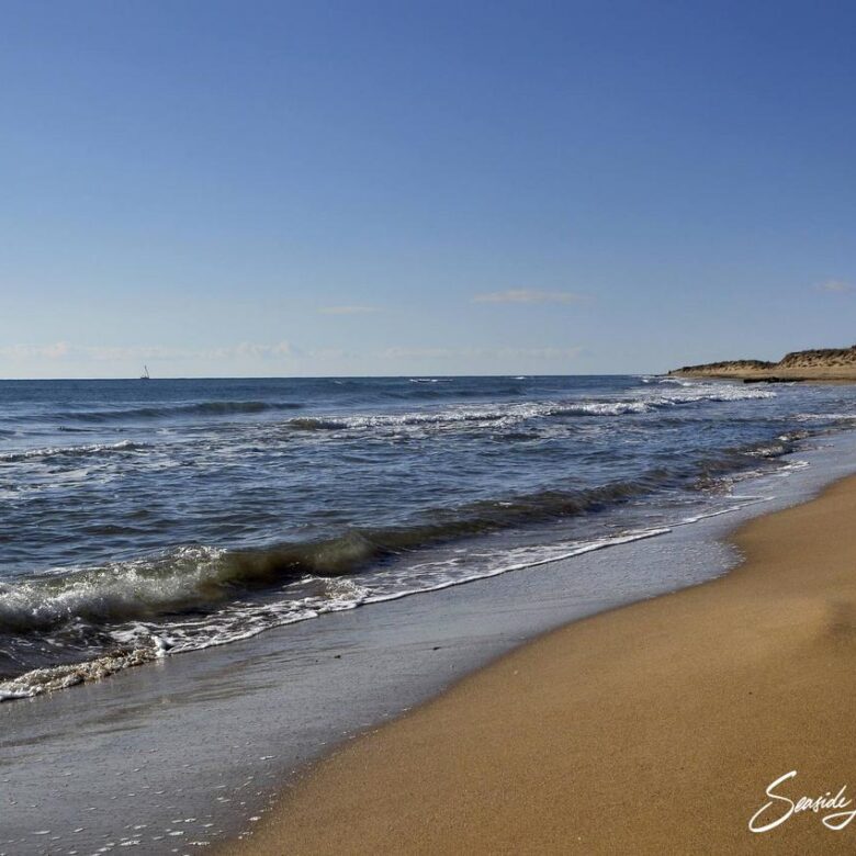 ISS 2401_seasidelivingconcept_32