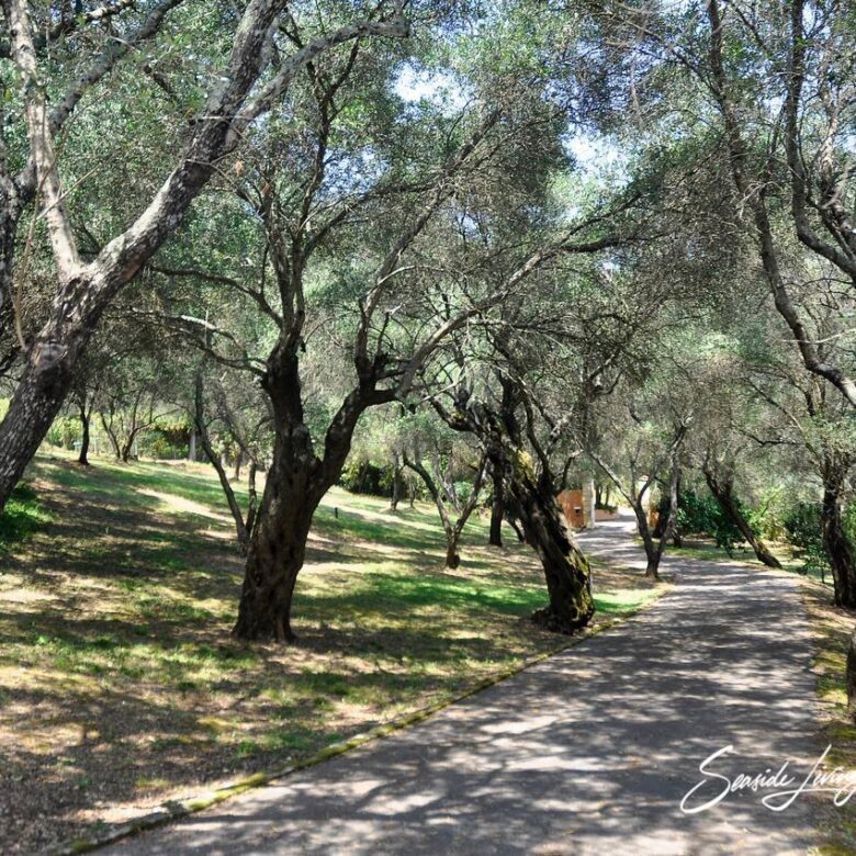 KON 2301_seasidelivingconcept_44