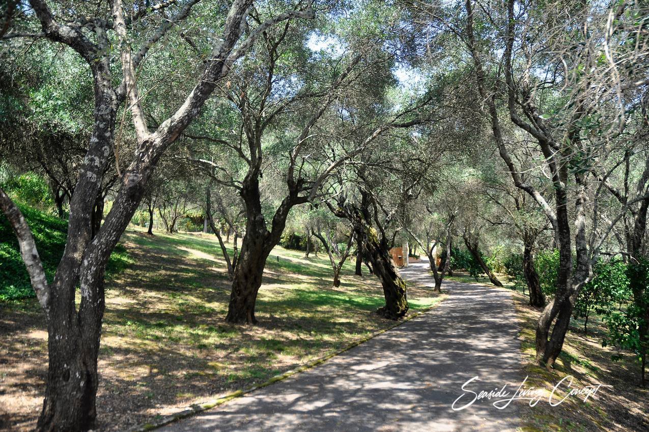 KON 2301_seasidelivingconcept_44