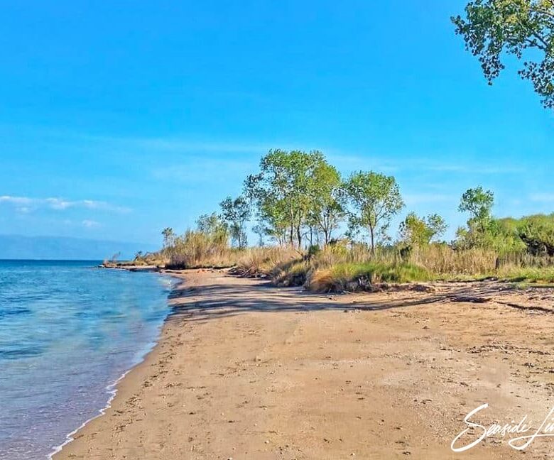 LEF 2401_seasidelivingconcept_11