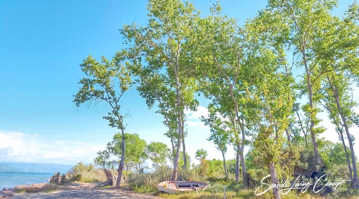 LEF 2401_seasidelivingconcept_15