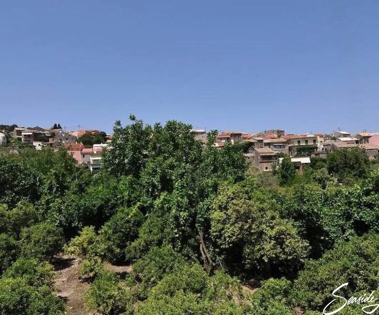 NYM 2401_seasidelivingconcept_10