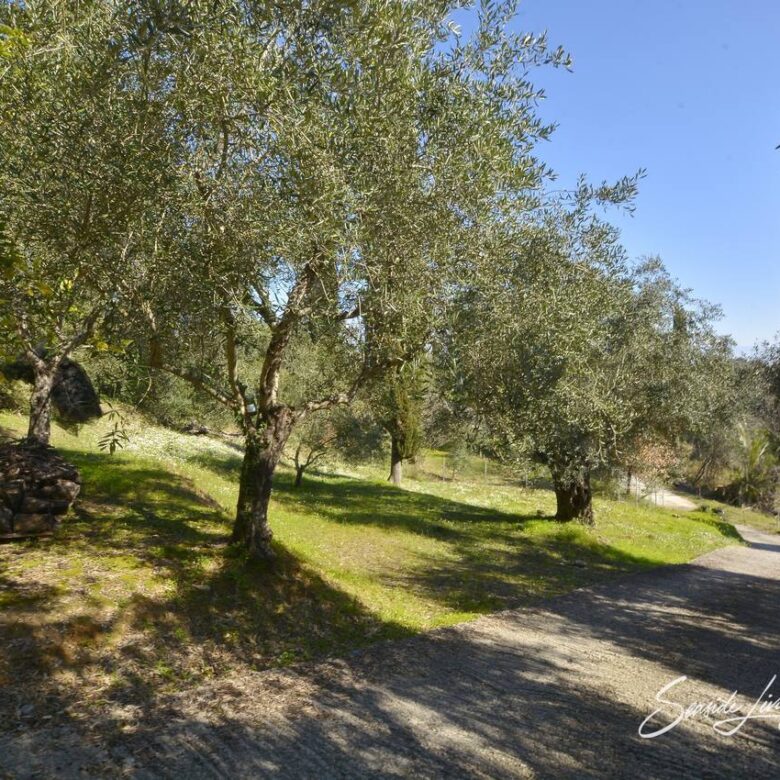 VIR 2402_seasidelivingconcept_38