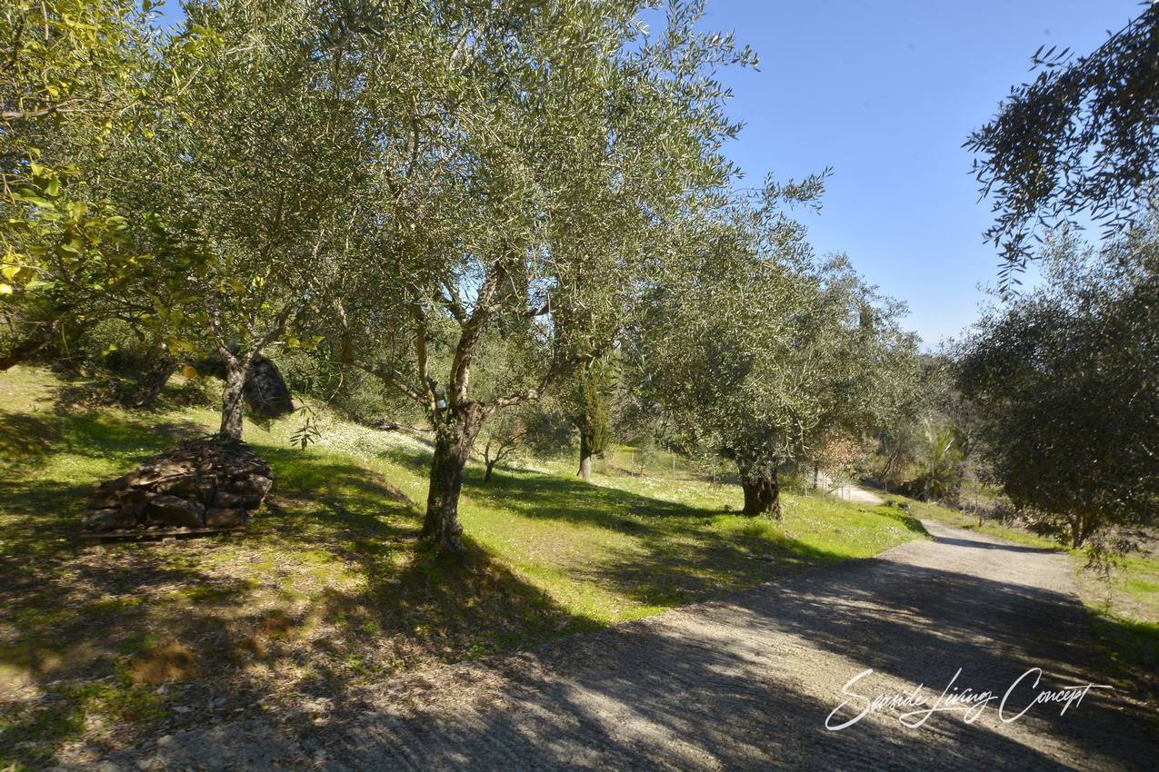 VIR 2402_seasidelivingconcept_38